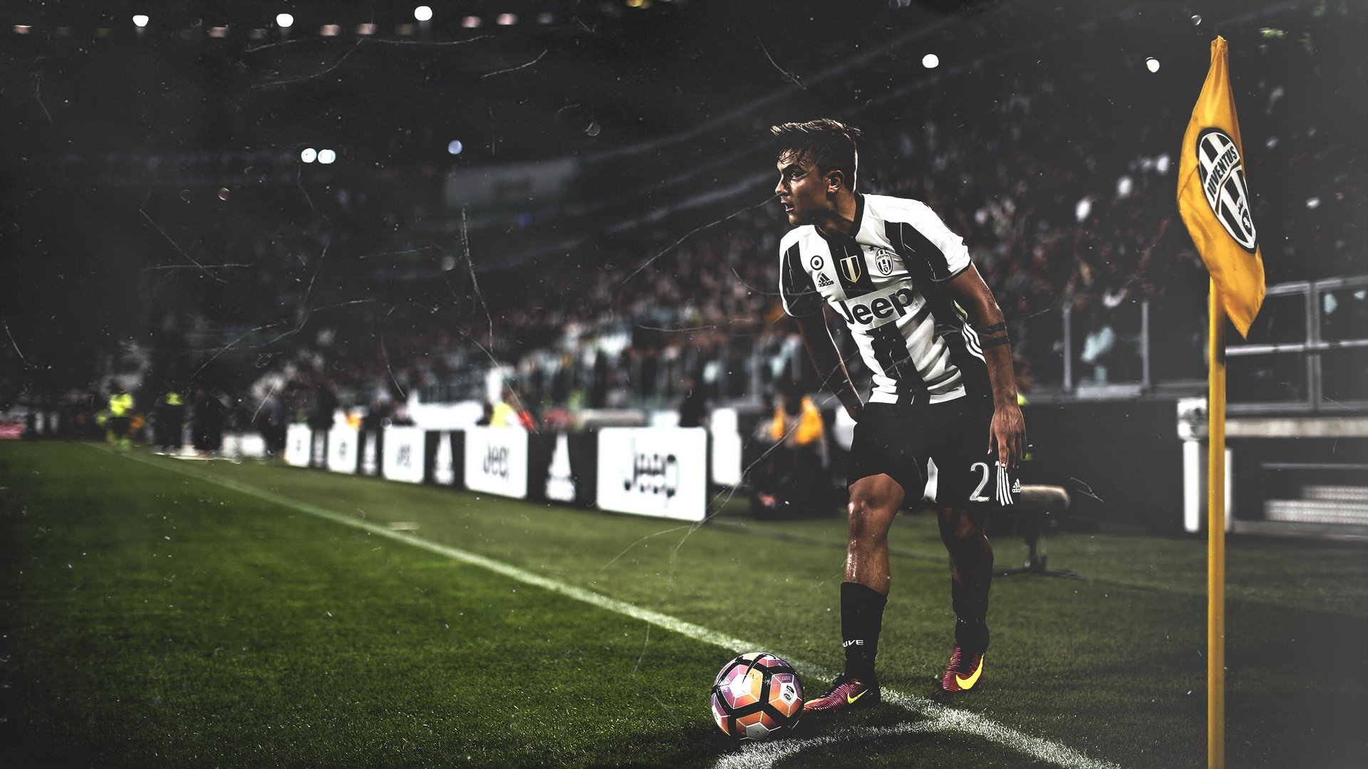 世界杯热点新闻-离谱！申花队长清晨跨界为鹈鹕鼓劲，社区盾体检闹剧致海港意外出局
